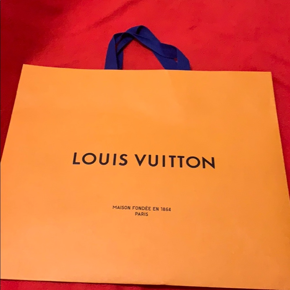 Louis Vuitton shopping bag